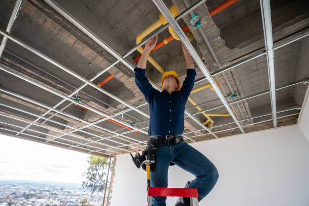 Best Shower Repair Services  in Saint Johns University, MN