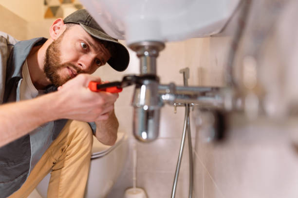 Best Drain Cleaning Services  in Saint Johns University, MN