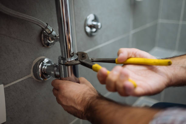 Best Clogged Drain Plumber  in Saint Johns University, MN